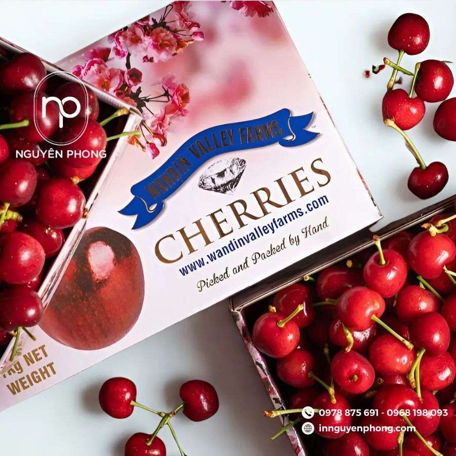 in-hop-giay-dung-cherry-gia-re-tai-ha-noi